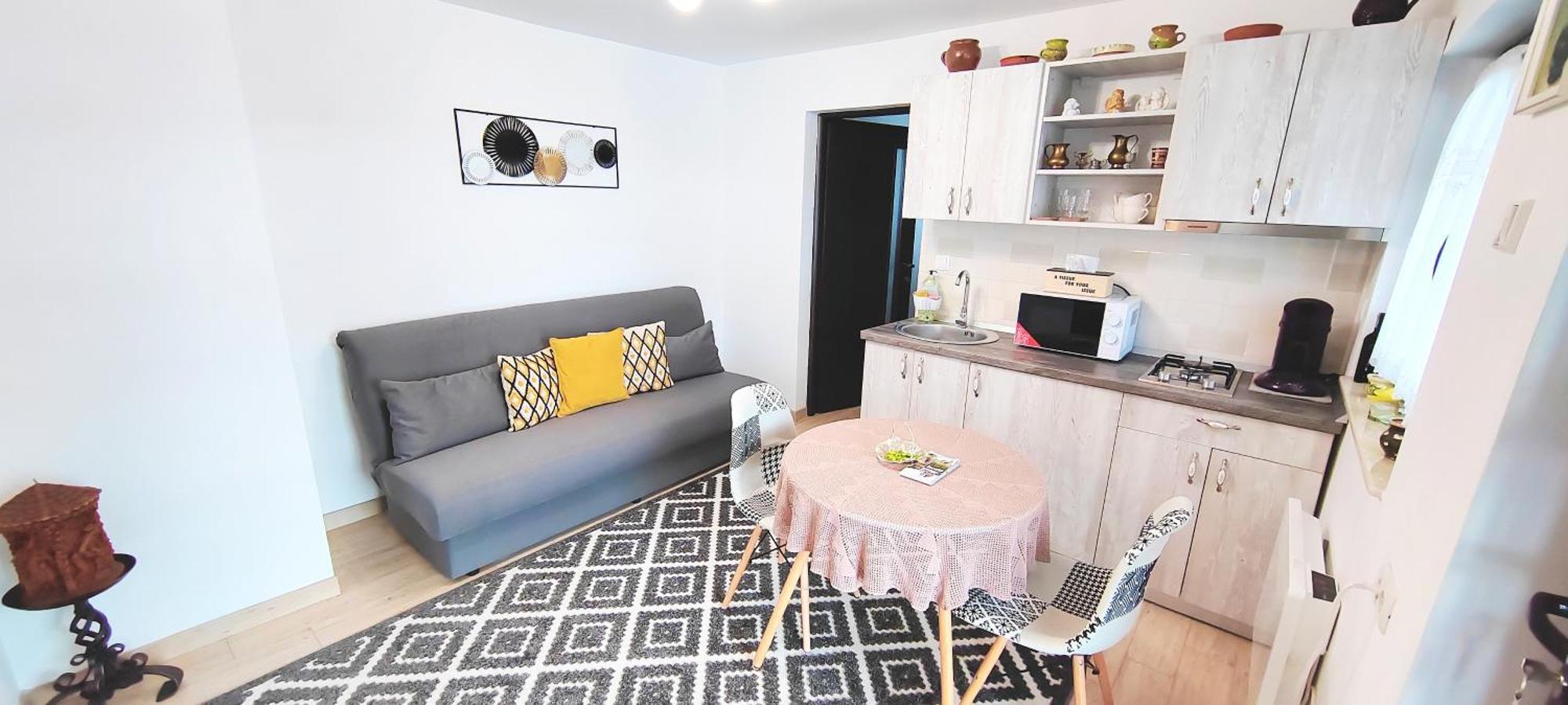 R&B Guest House Câmpulung Moldovenesc Dış mekan fotoğraf